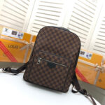 LV  Backpack